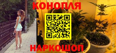 Альфа ПВП Канаш