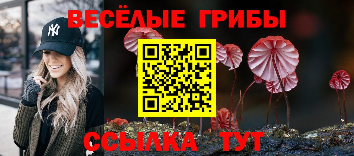 Галлюциногенные грибы мухоморы Кстово