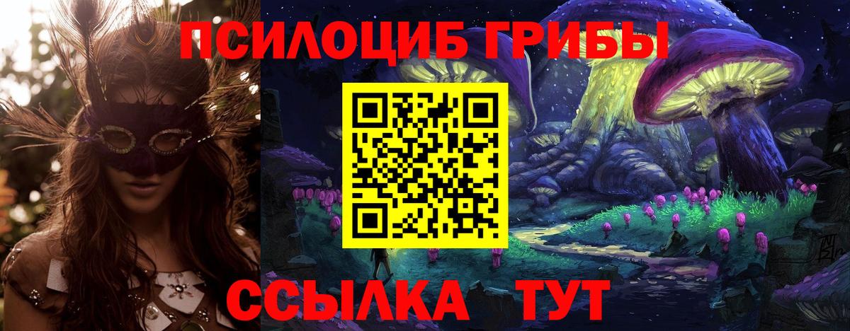 Кстово  Псилоцибиновые грибы GOLDEN TEACHER  Вход с VPN 